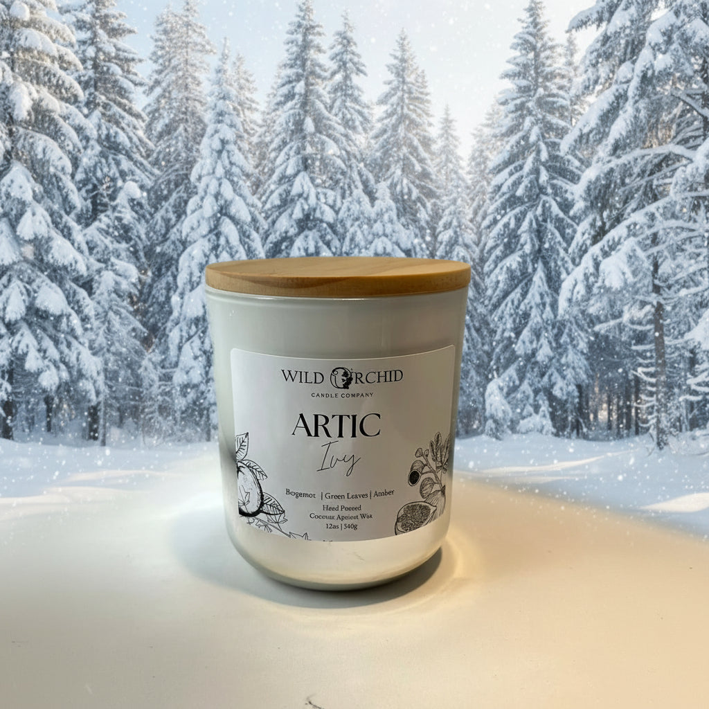 IMG_9941_2048x.jpg?v=1765631500